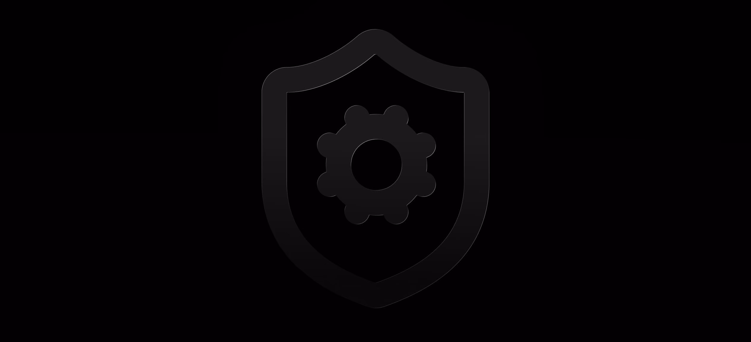Privacy shield